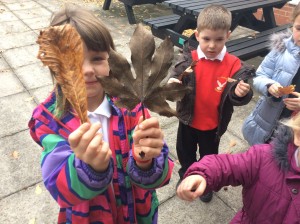 We found lots of different coloured leaves.